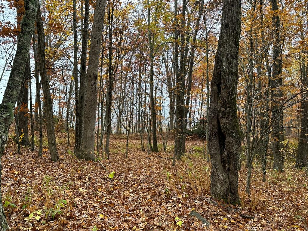 2680 Conley Mountain Association Road Property Photo 24