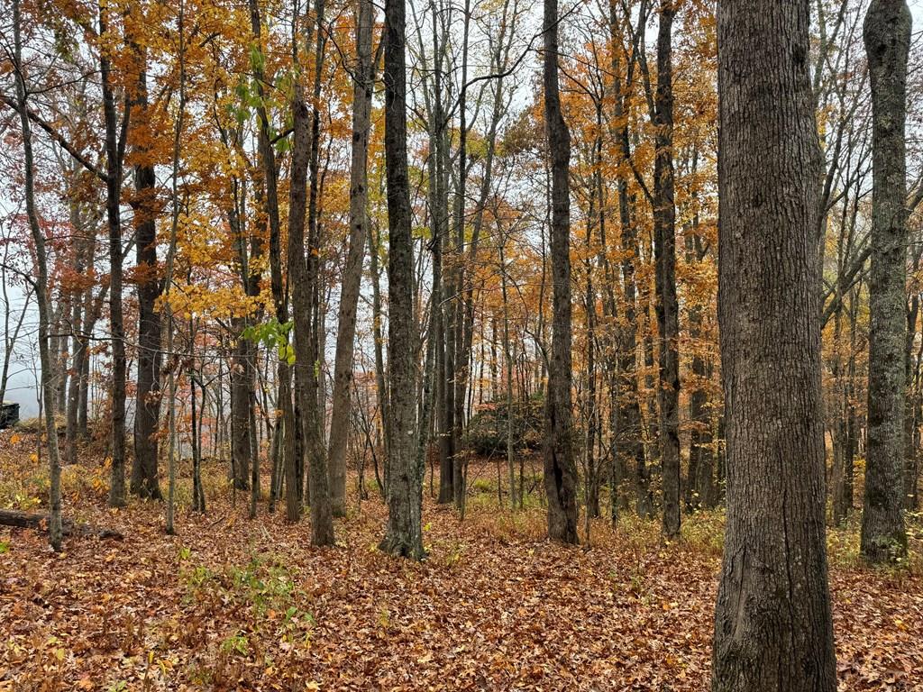 2680 Conley Mountain Association Road Property Photo 25