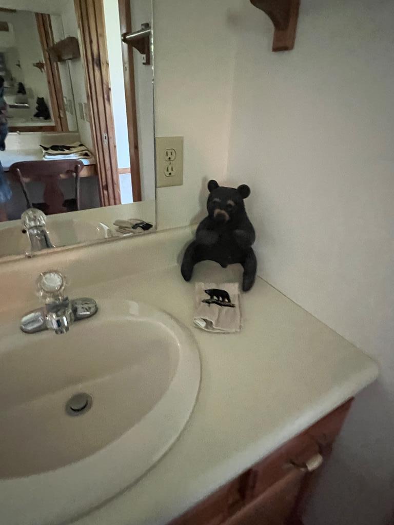 525 Beaver Ridge Rd Property Photo 20