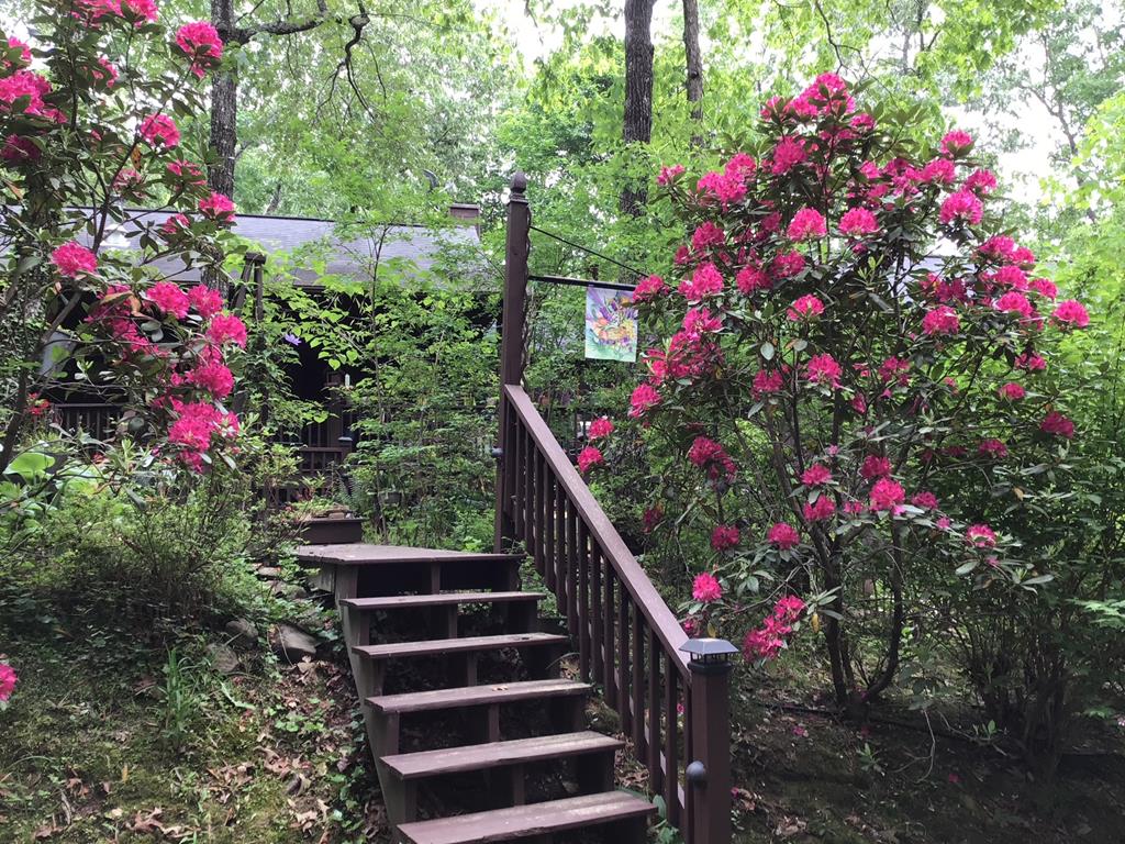 57 & 66 Downy Trail Property Photo 36