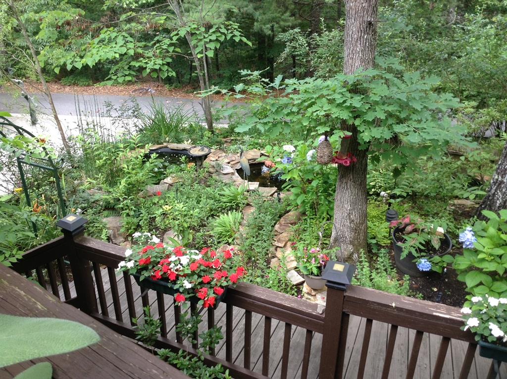 57 & 66 Downy Trail Property Photo 38