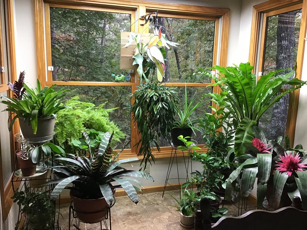 57 & 66 Downy Trail Property Photo 40