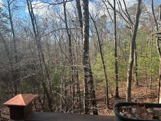 57 & 66 Downy Trail Property Photo 43