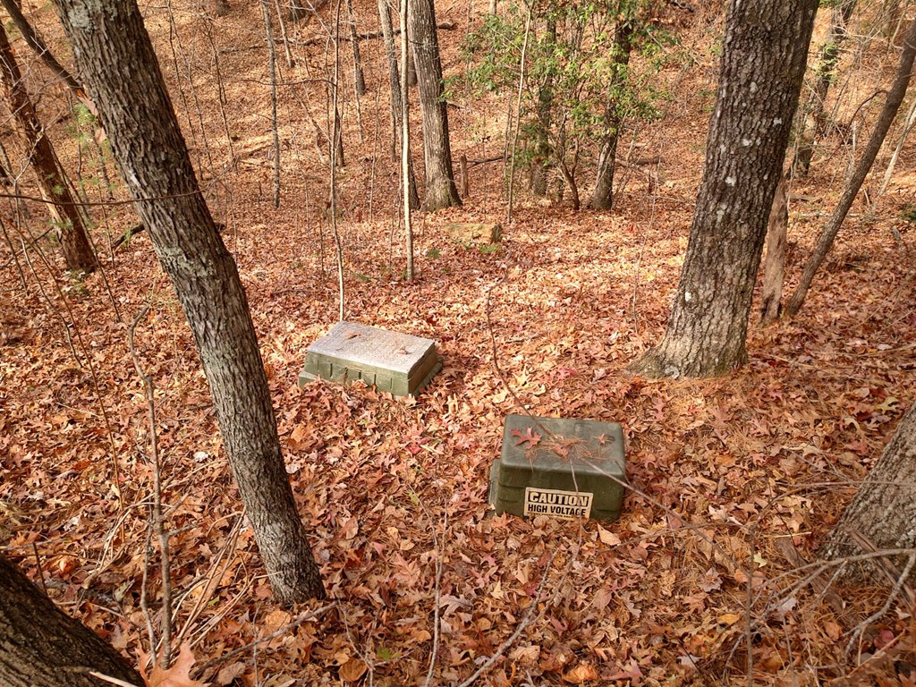 57 & 66 Downy Trail Property Photo 47