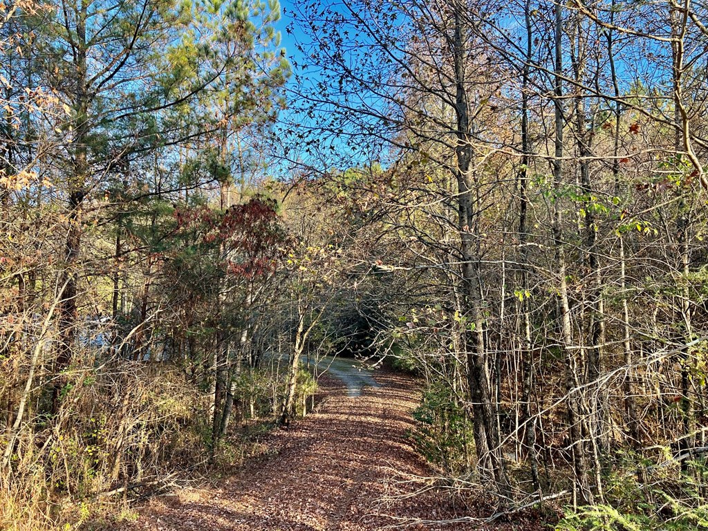 2746 Hwy 68 Property Photo 14