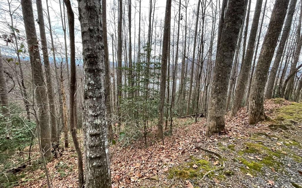 Lot 19 Twin Mountain Subdivision Property Photo 1