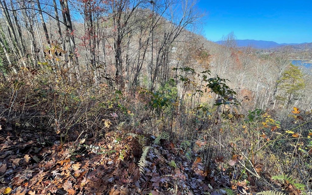 Lot 19 Twin Mountain Subdivision Property Photo 4