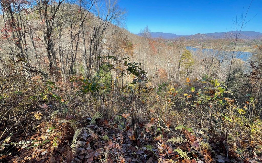Lot 19 Twin Mountain Subdivision Property Photo 5