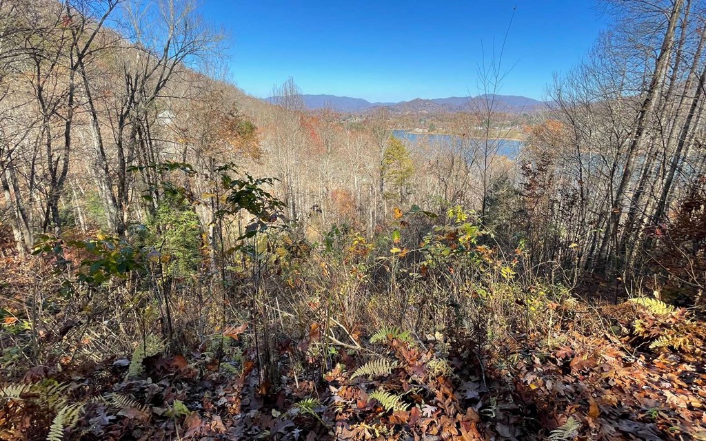 Lot 19 Twin Mountain Subdivision Property Photo 6