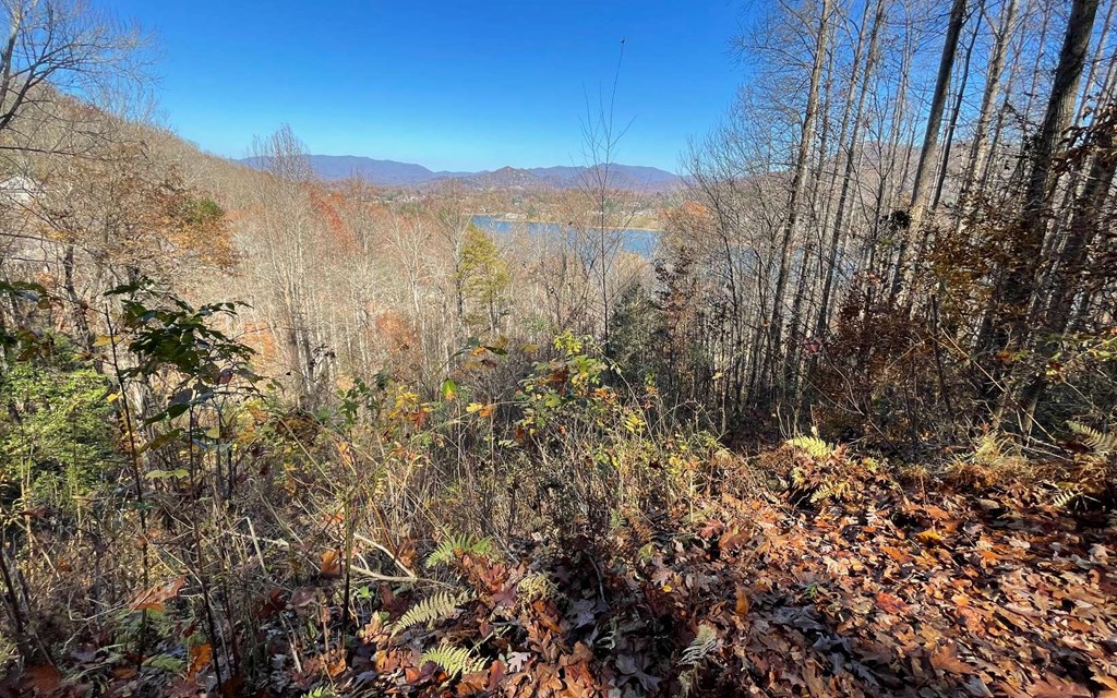 Lot 19 Twin Mountain Subdivision Property Photo 7