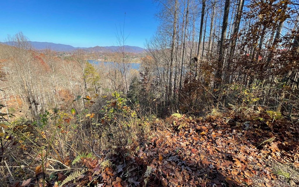 Lot 19 Twin Mountain Subdivision Property Photo 8