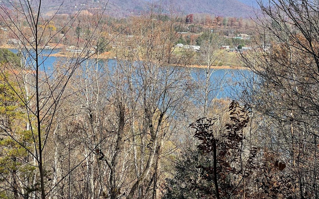 Lot 19 Twin Mountain Subdivision Property Photo 9