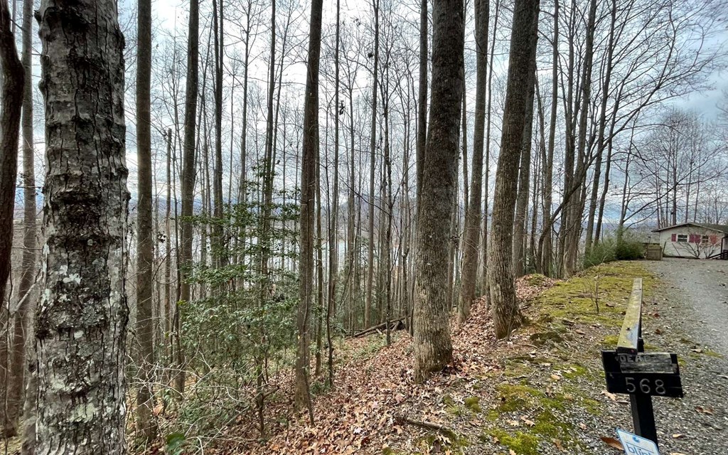 Lot 19 Twin Mountain Subdivision Property Photo 10