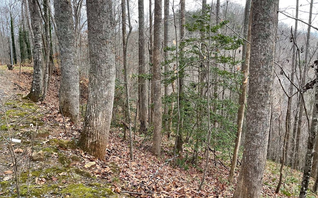 Lot 19 Twin Mountain Subdivision Property Photo 11
