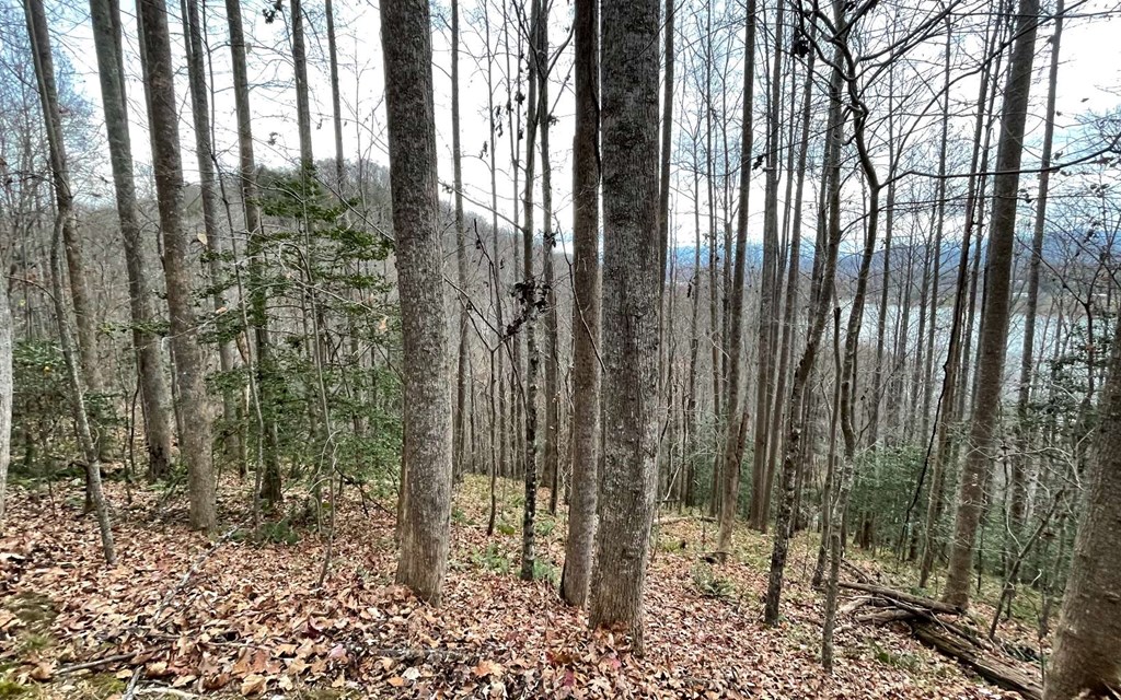 Lot 19 Twin Mountain Subdivision Property Photo 12