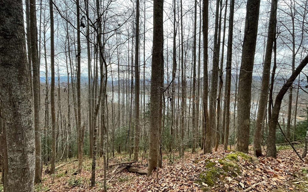 Lot 19 Twin Mountain Subdivision Property Photo 13