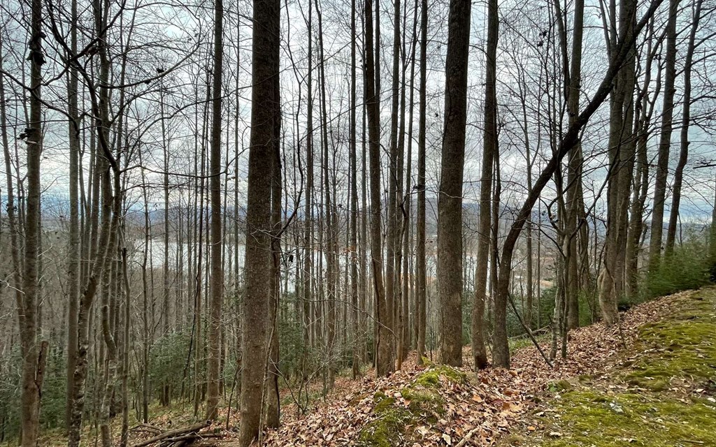 Lot 19 Twin Mountain Subdivision Property Photo 14