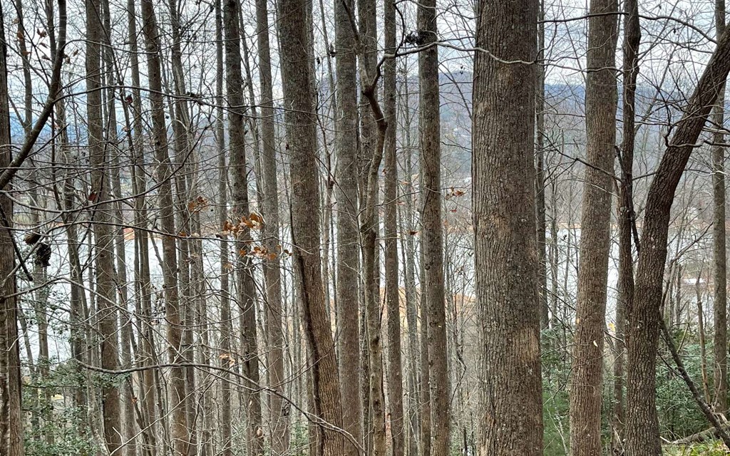 Lot 19 Twin Mountain Subdivision Property Photo 16