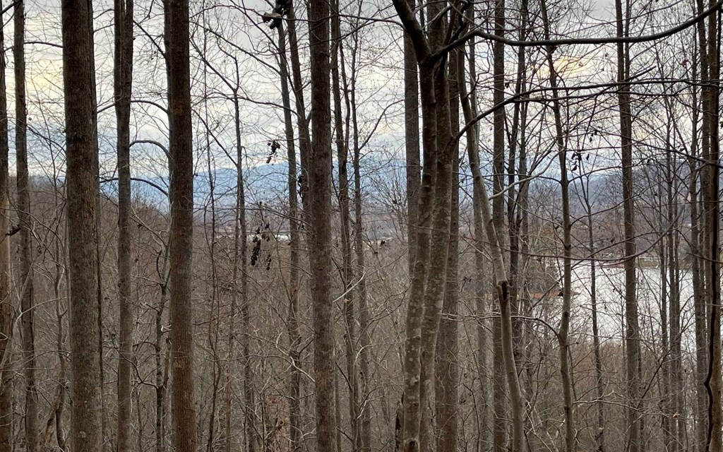 Lot 19 Twin Mountain Subdivision Property Photo 17