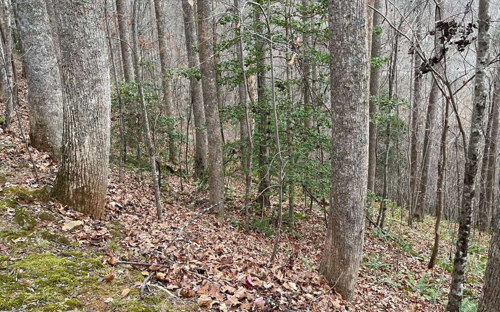 Lot 19 Twin Mountain Subdivision Property Photo 18