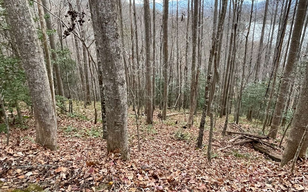 Lot 19 Twin Mountain Subdivision Property Photo 19