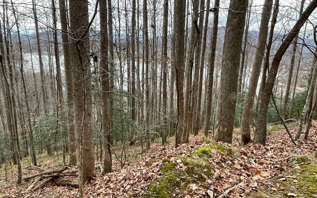 Lot 19 Twin Mountain Subdivision Property Photo 20