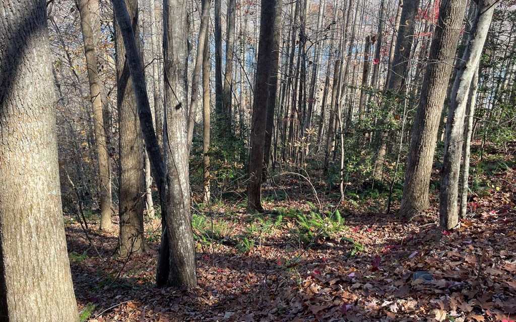 Lot 19 Twin Mountain Subdivision Property Photo 21