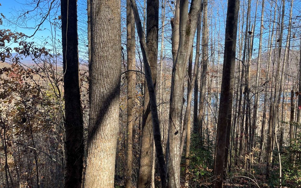 Lot 19 Twin Mountain Subdivision Property Photo 23
