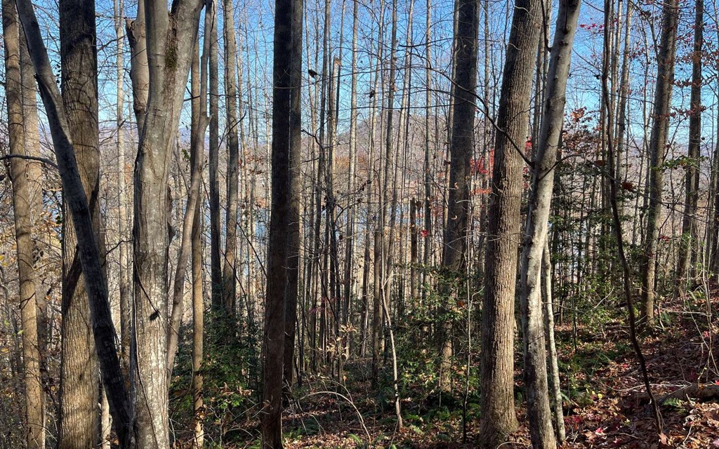 Lot 19 Twin Mountain Subdivision Property Photo 24