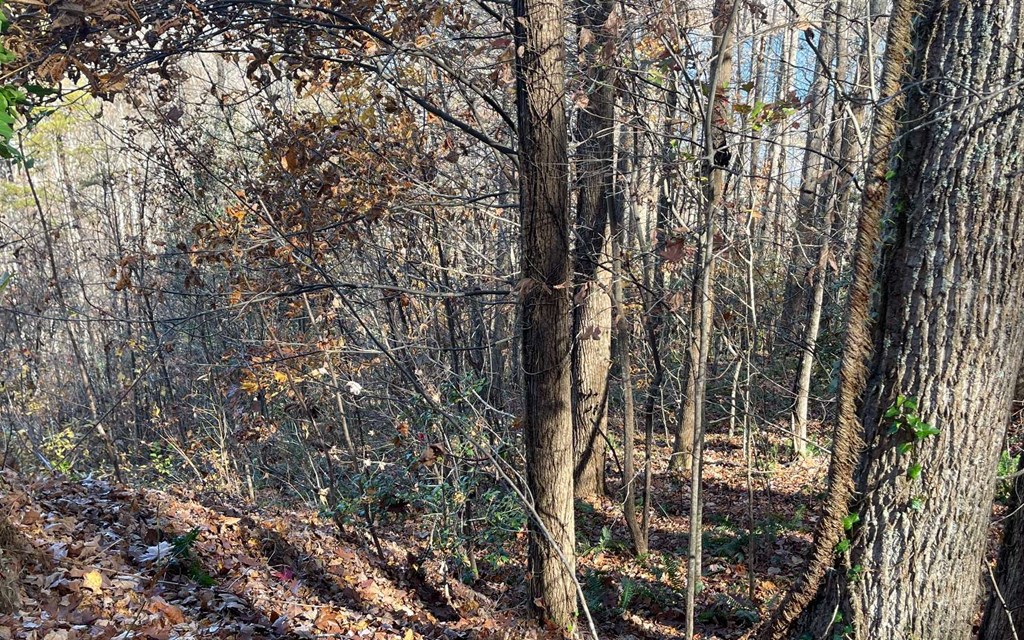Lot 19 Twin Mountain Subdivision Property Photo 27
