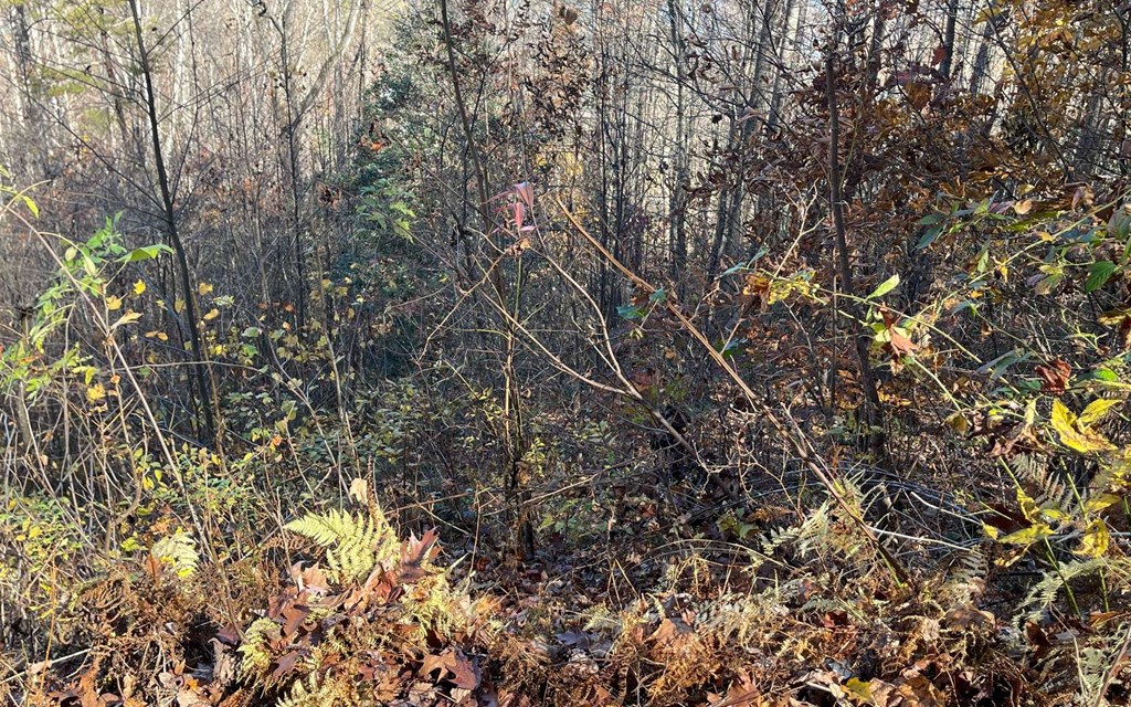 Lot 19 Twin Mountain Subdivision Property Photo 28