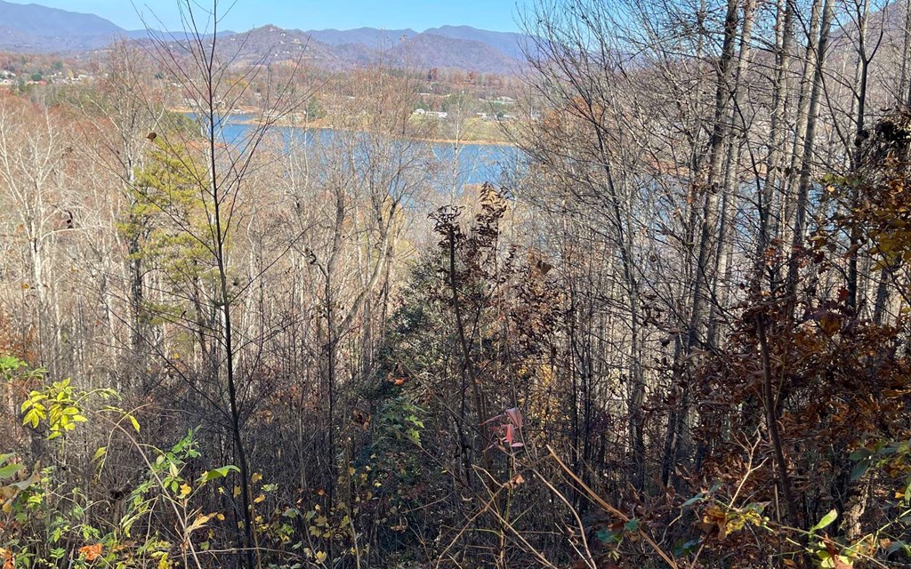 Lot 19 Twin Mountain Subdivision Property Photo 29