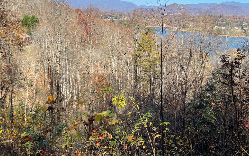 Lot 19 Twin Mountain Subdivision Property Photo 30