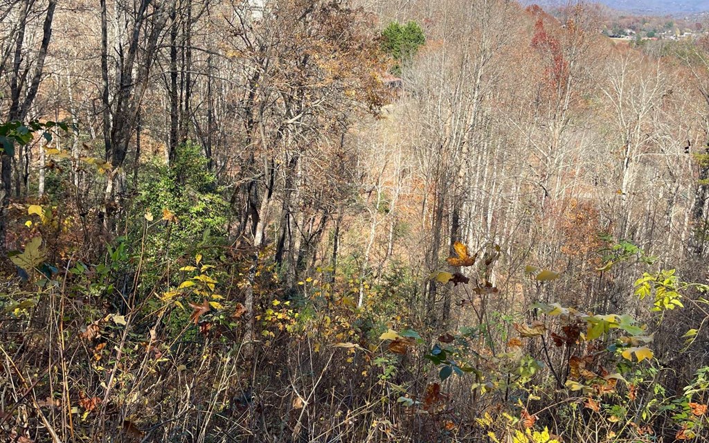 Lot 19 Twin Mountain Subdivision Property Photo 31
