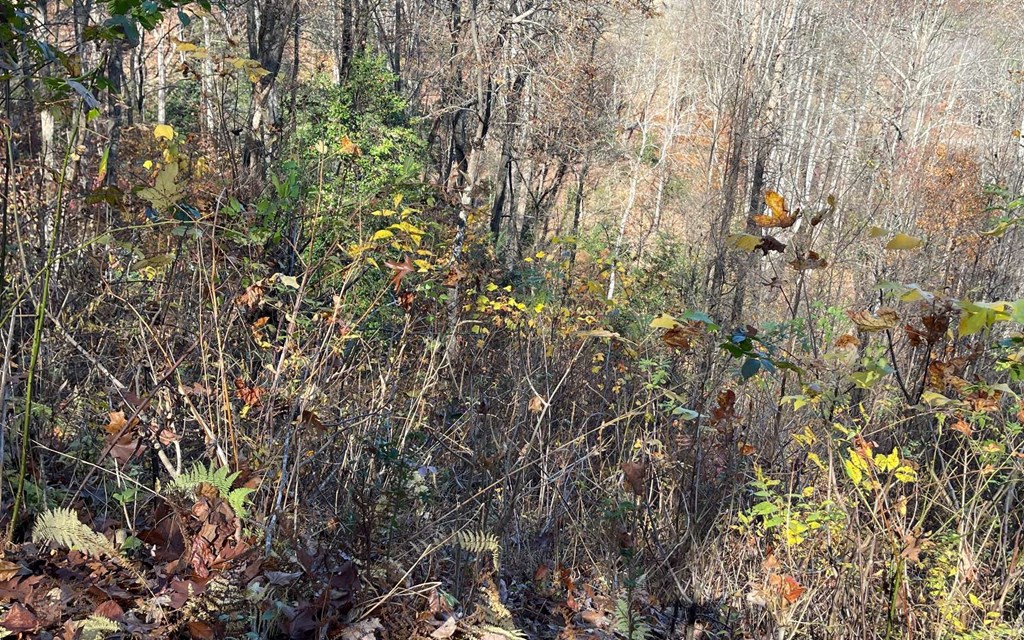 Lot 19 Twin Mountain Subdivision Property Photo 32