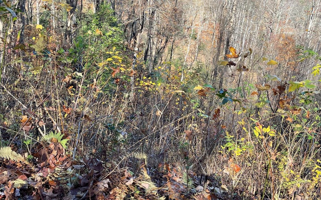 Lot 19 Twin Mountain Subdivision Property Photo 33