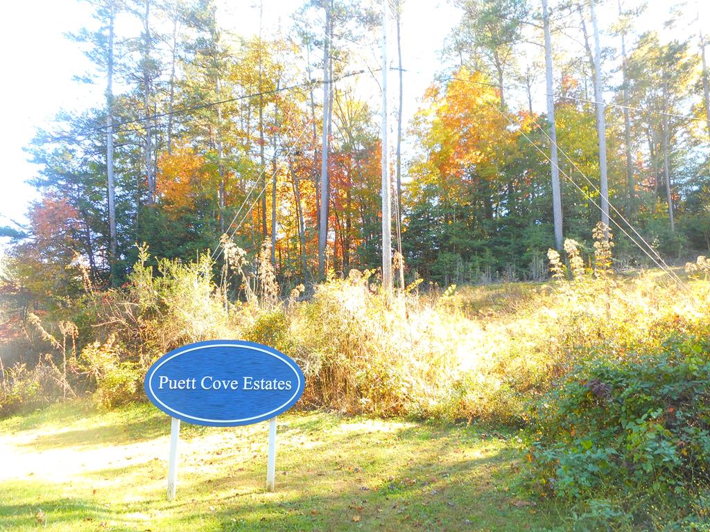 00 Puett Cove Rd. Property Photo