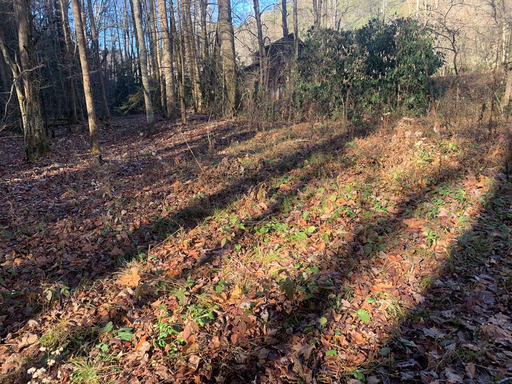 7.79 Ac Junaluska & Lords Way Property Photo