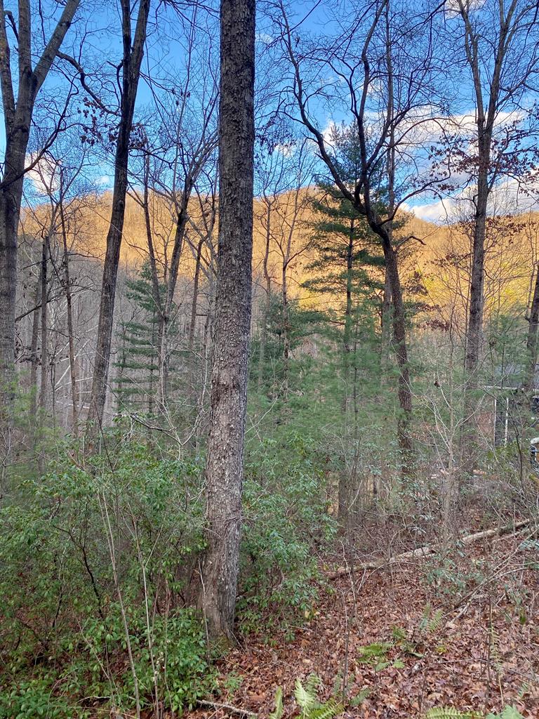 Lot 11 Castlewood Property Photo