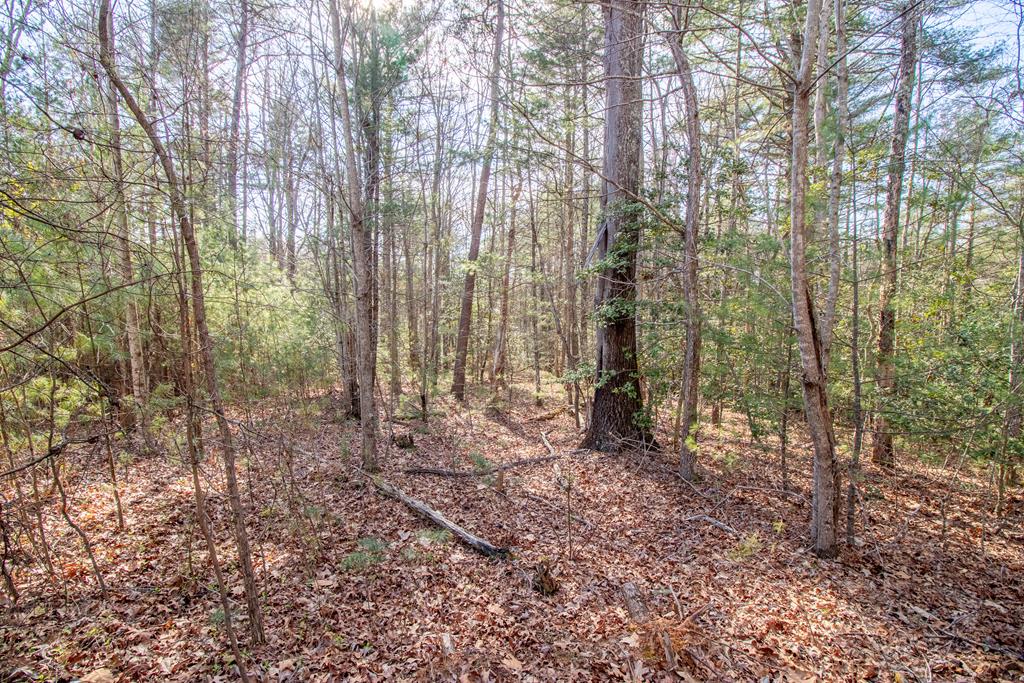 30 Critter Court Property Photo 1
