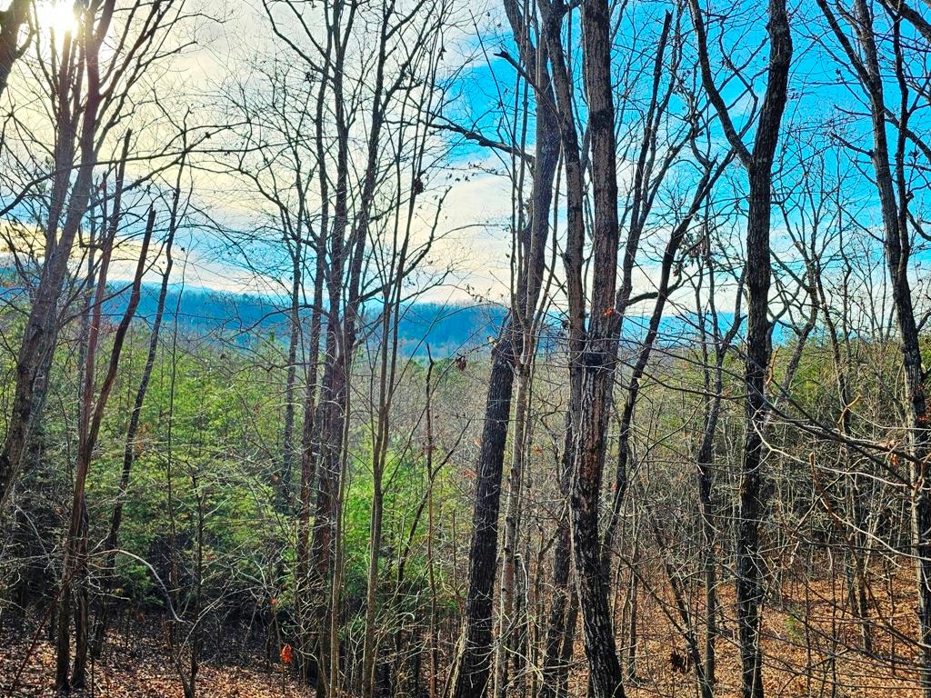 Lot 80 Graystone Dr Property Photo 1