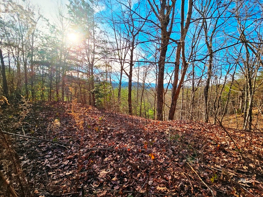 Lot 80 Graystone Dr Property Photo 2