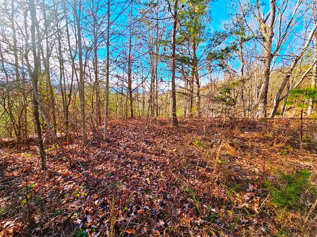 Lot 80 Graystone Dr Property Photo 3