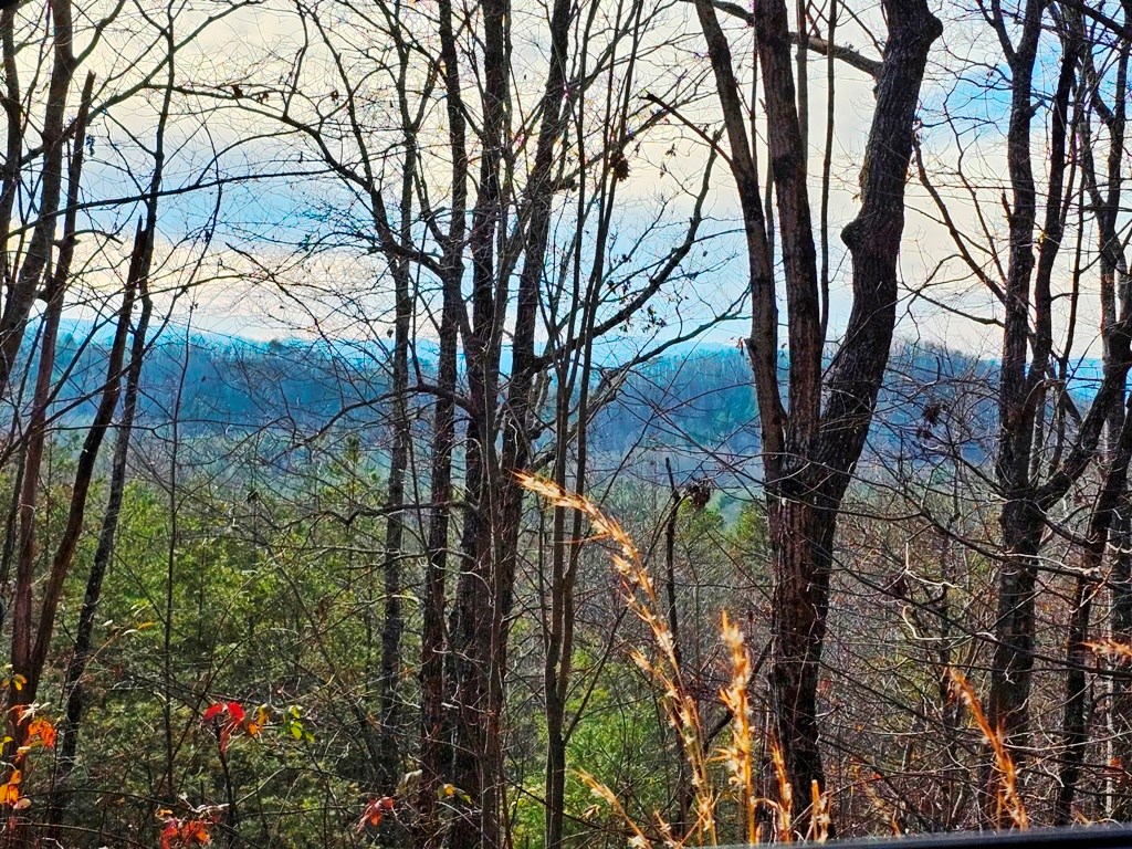 Lot 80 Graystone Dr Property Photo 4
