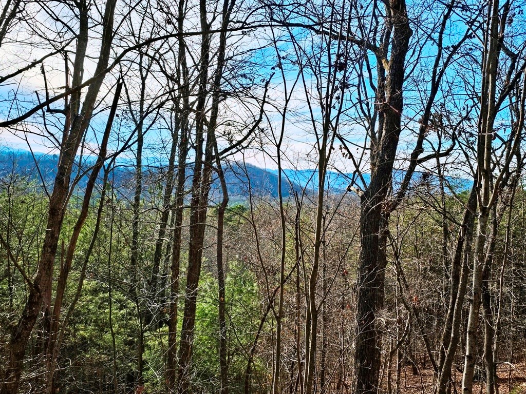 Lot 80 Graystone Dr Property Photo 5