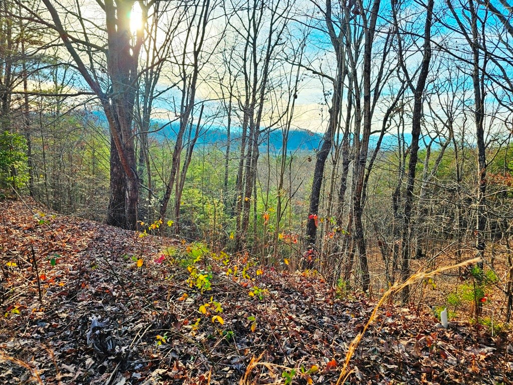 Lot 80 Graystone Dr Property Photo 6