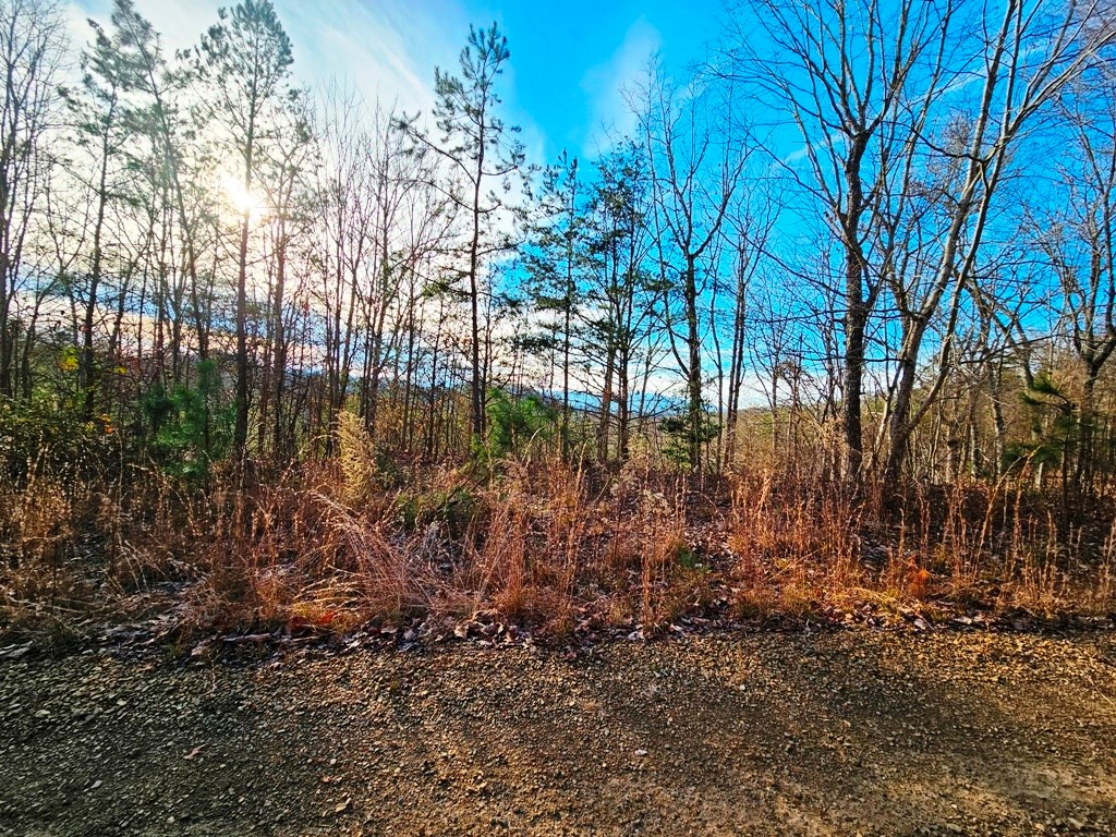 Lot 80 Graystone Dr Property Photo 7