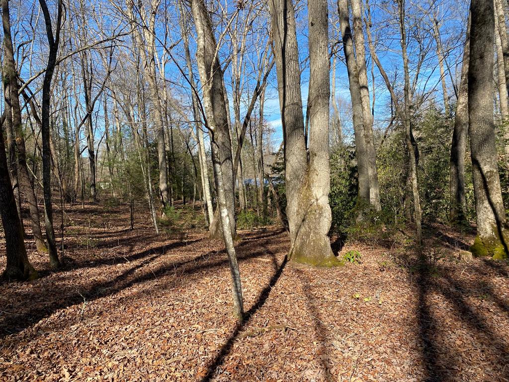 Tbd Collett Wood Cv Property Photo