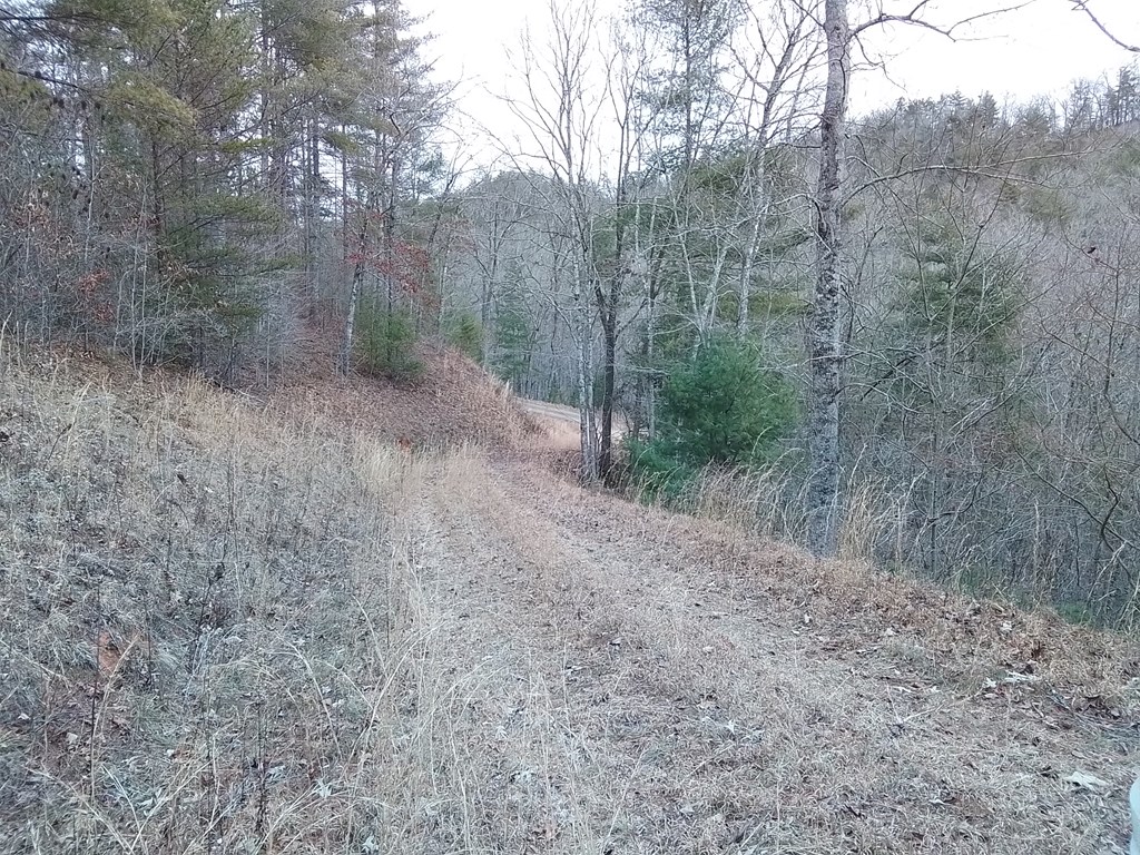 31 Idle Hour Lane Property Photo 2