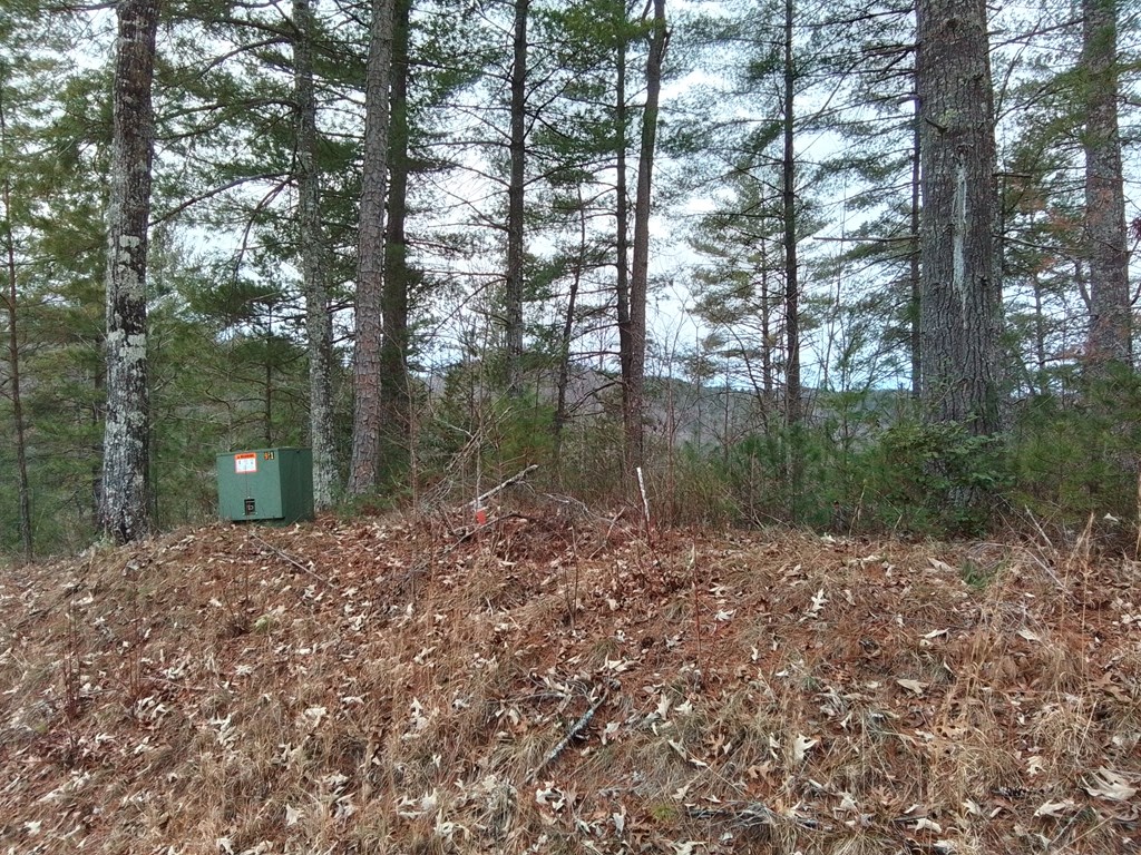 31 Idle Hour Lane Property Photo 3